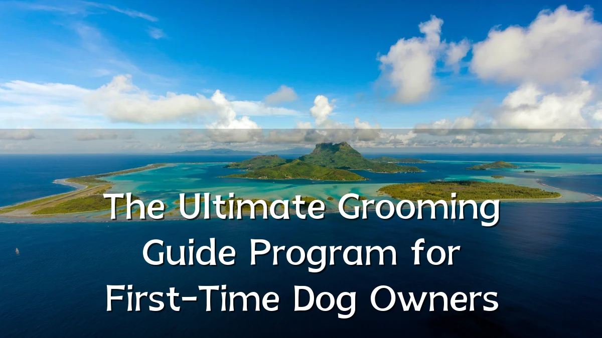 The Ultimate Grooming Guide Program for First-Time Dog Owners