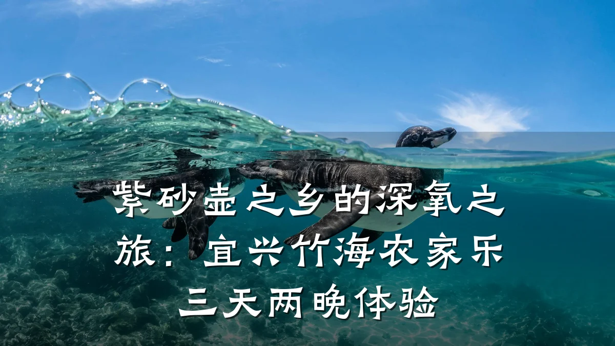 紫砂壶之乡的深氧之旅:宜兴竹海农家乐三天两晚体验