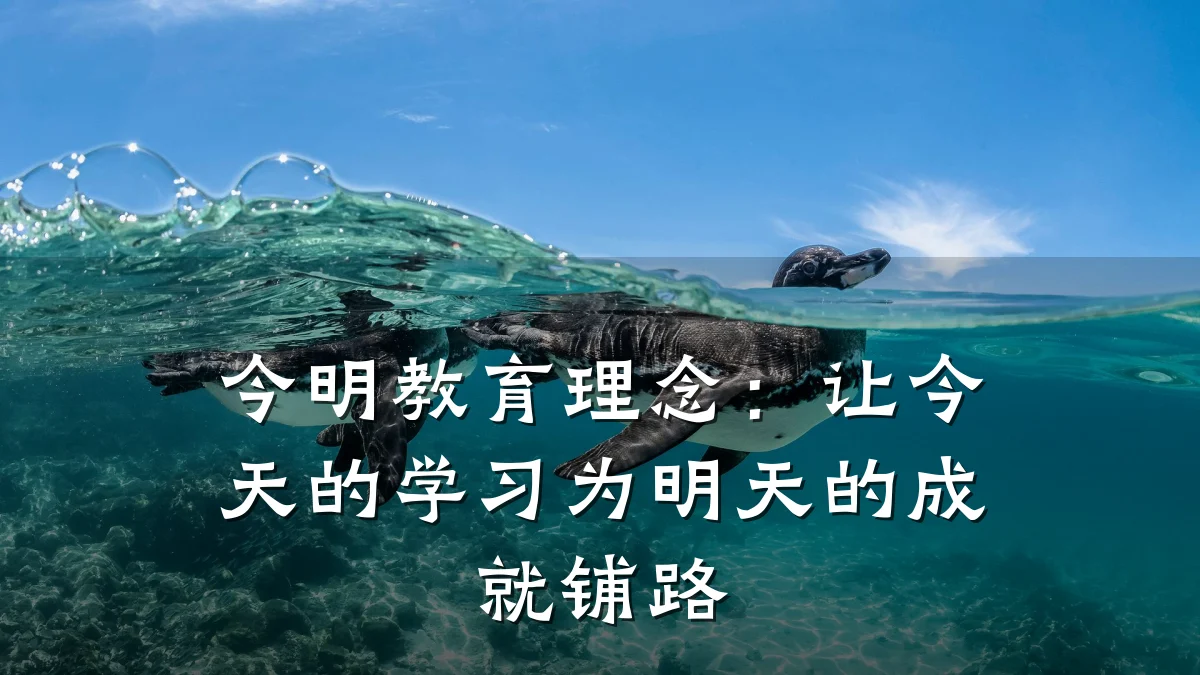 今明教育理念:让今天的学习为明天的成就铺路